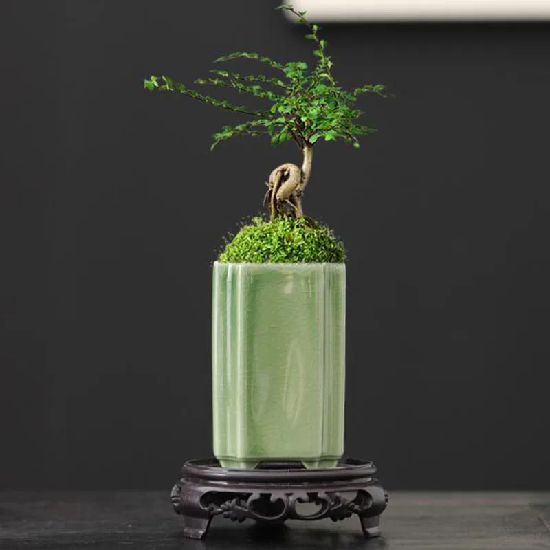 Bonsai Garden Art - Фарфоровый квадратный горшок для орхидей с