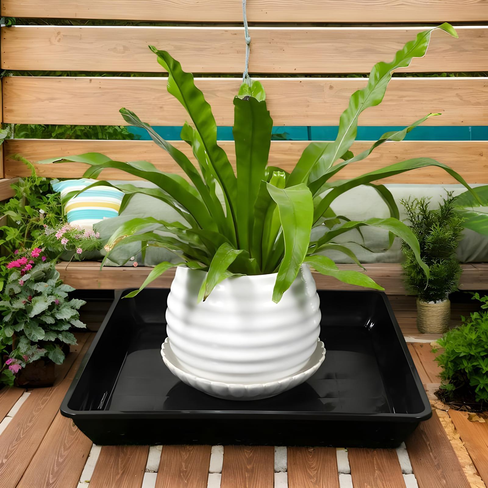 Поддоны для цветочных горшков, – обзор и цена Drip Tray Saucer
