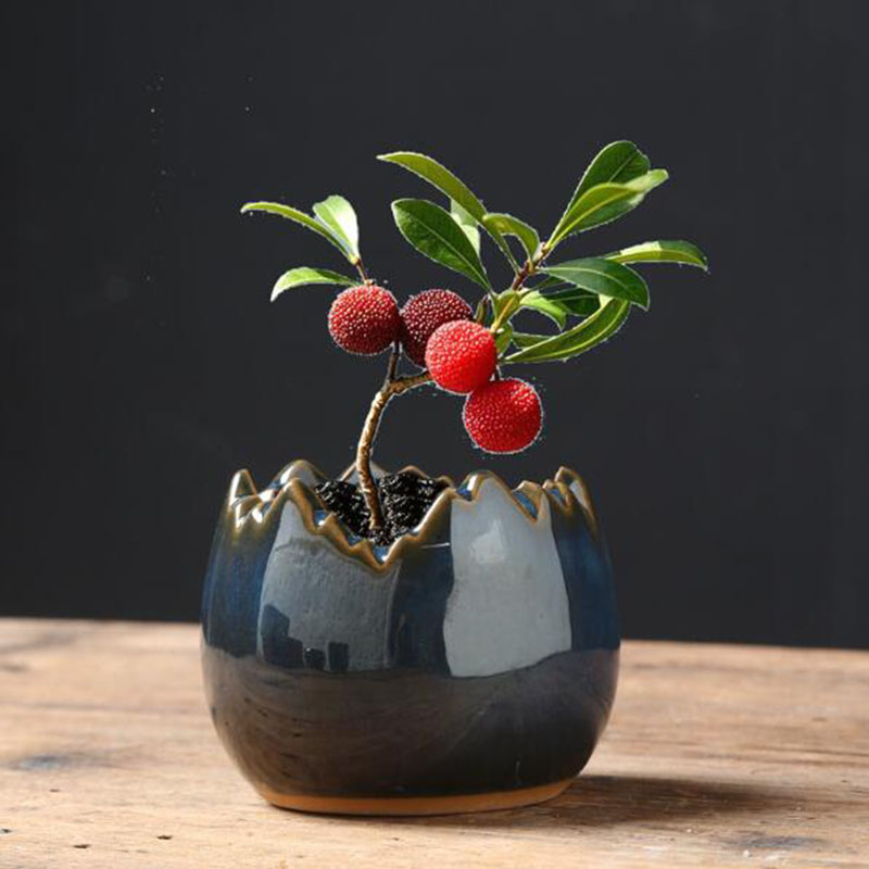 Глазурованный цветочный горшок – обзор и цена Bonsai Garden Art